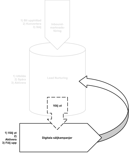 Digital sales campaign process