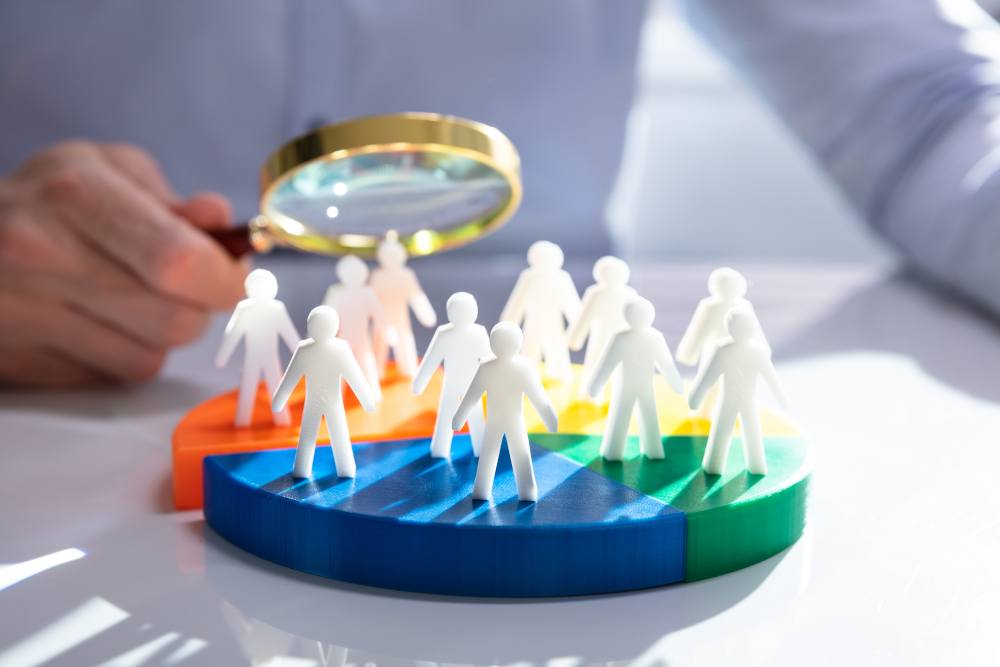 segmentation