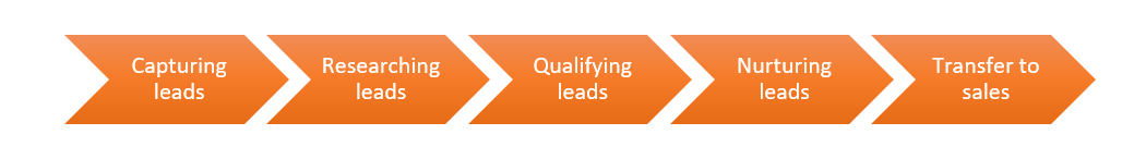 Lead management process